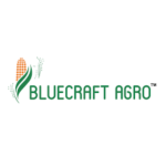 bluecraft logo